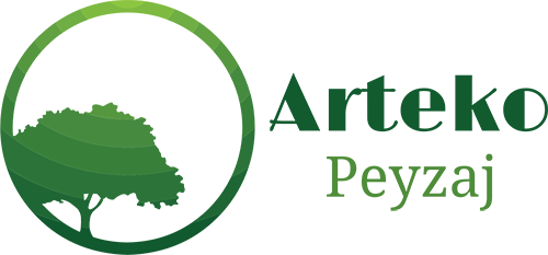 Arteko Peyzaj
